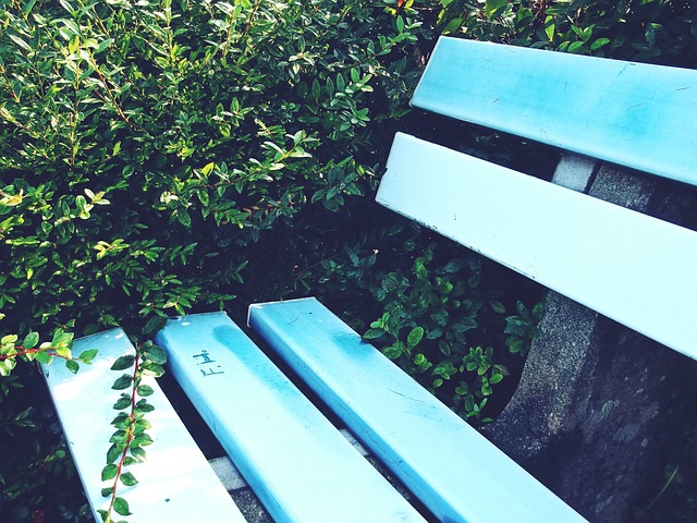 情绪并提高 情绪并提高