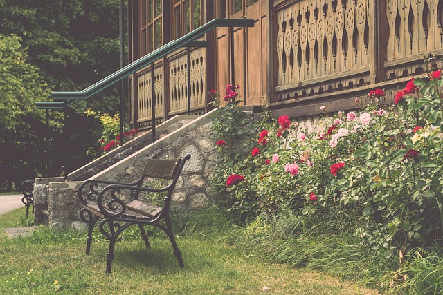 尽管泰勒 尽管泰勒