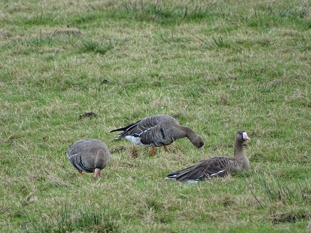 潜在机遇 潜在机遇