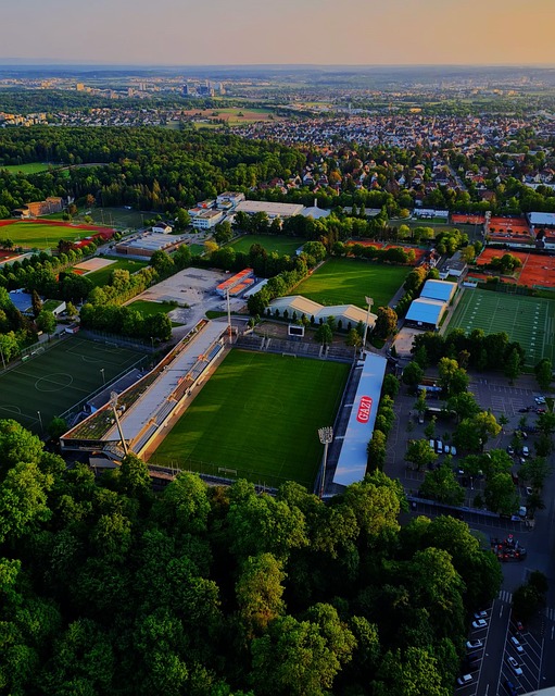 到职业生涯 到职业生涯