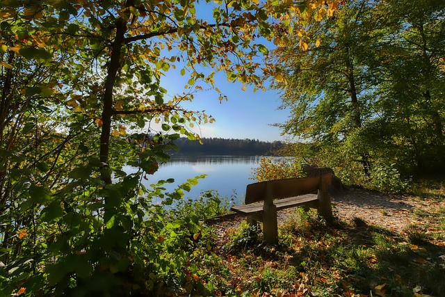 管理层深陷 管理层深陷