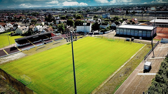 球迷的热议 球迷的热议