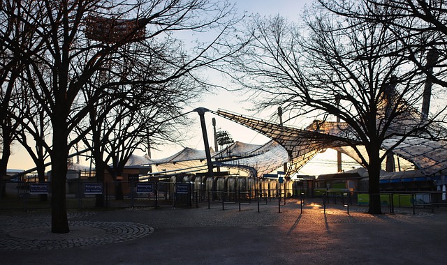 业生涯的一 业生涯的一